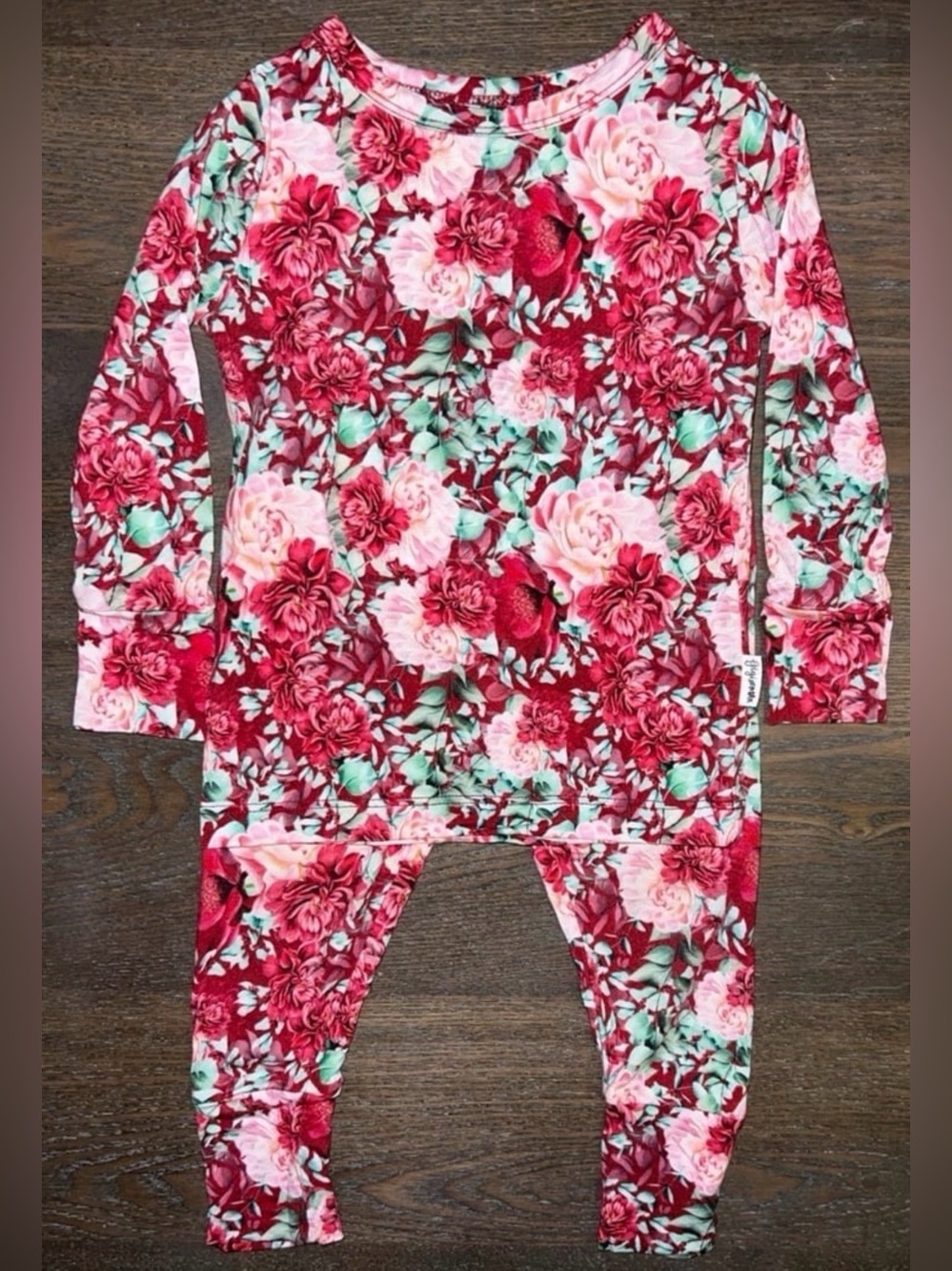 Gigi and Max McKenna 2 Piece PJ Set size 12 mo
